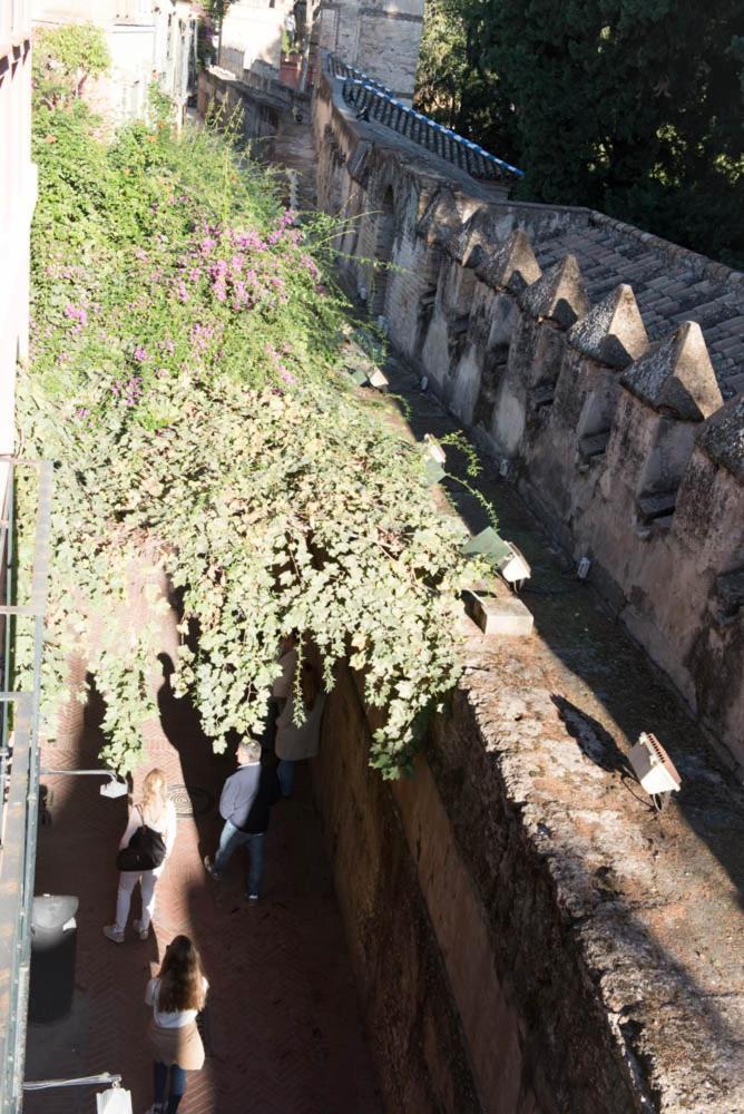 Apartamento Casa Callejon Del Agua Sevilla Eksteriør bilde