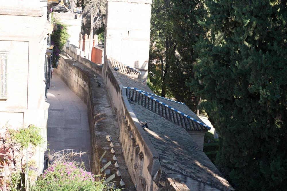 Apartamento Casa Callejon Del Agua Sevilla Eksteriør bilde