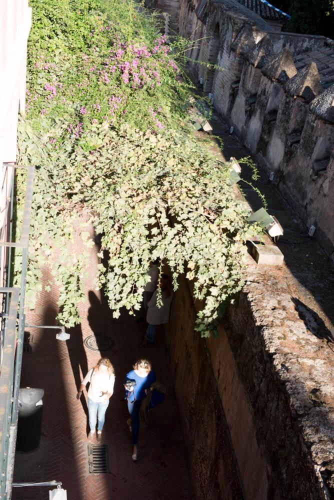 Apartamento Casa Callejon Del Agua Sevilla Eksteriør bilde
